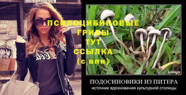 PSILOCYBIN Алзамай